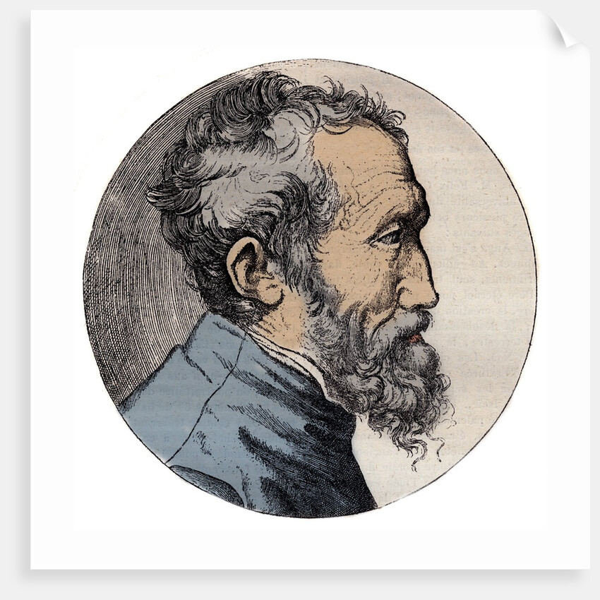 Profile Engraving of Michelangelo Buonarroti italian sculptor by Anonymous