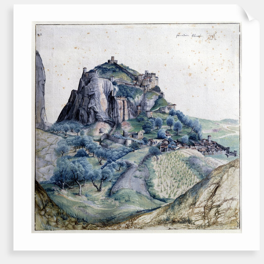 View of the Arco Valley by Albrecht Dürer