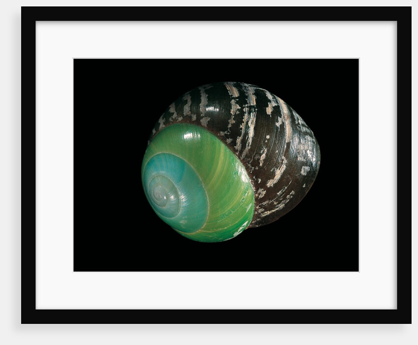 Asperitas polymorpha by Anonymous