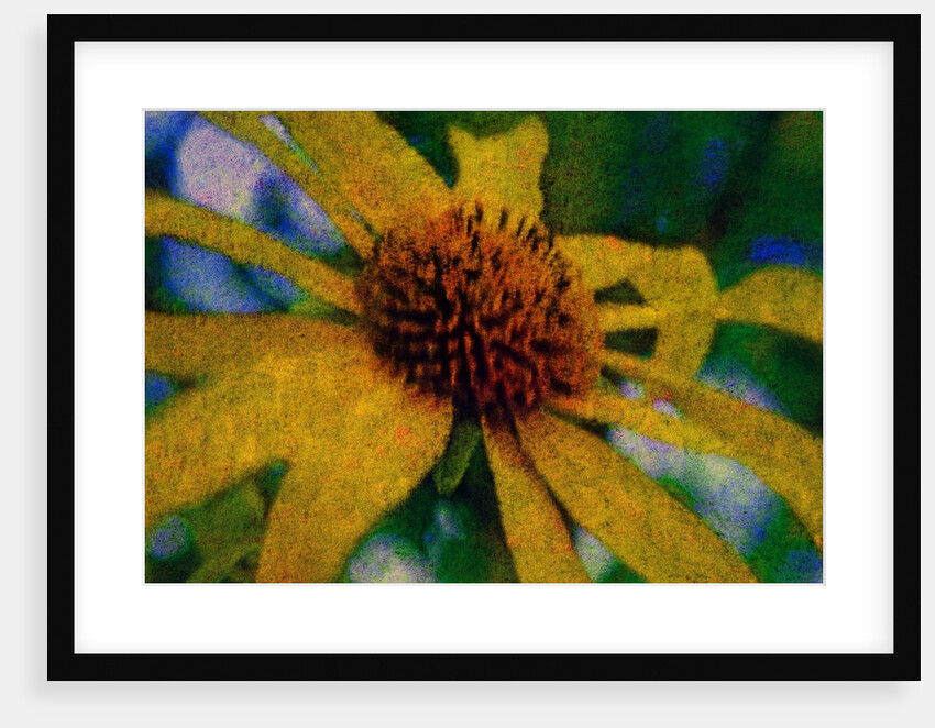 Yellow Flower by Anonymous