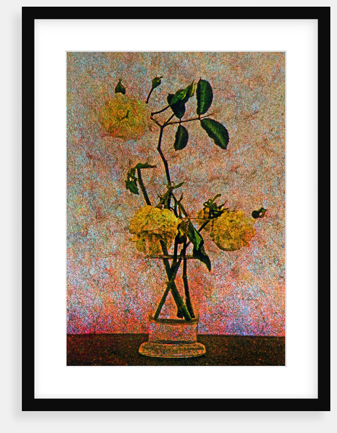 Flower Pot by Anonymous