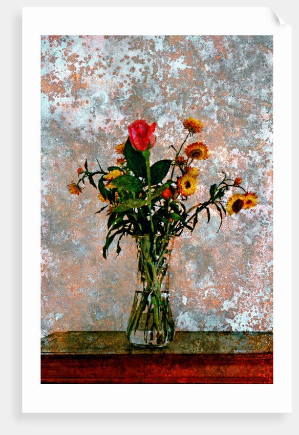 Flower Pot by Anonymous