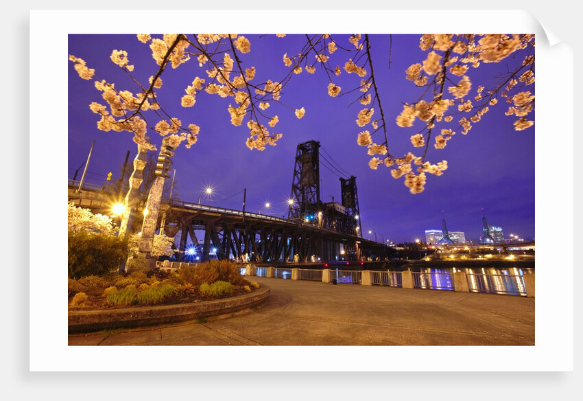 cherry blossoms and water front park, Steel ridge, Willamette River, Portland Oregon by Anonymous