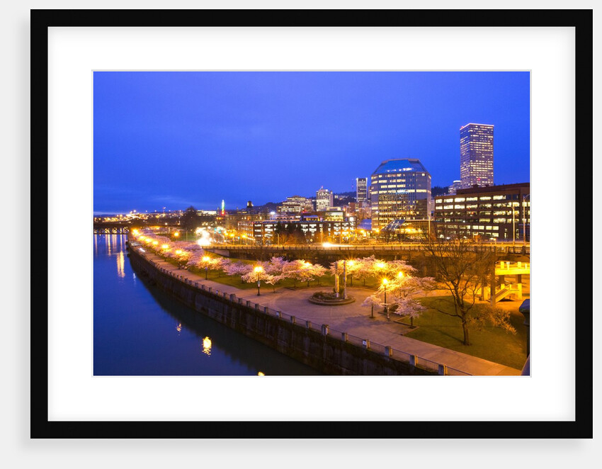night image of cherry blossoms and water front park, Willamette River, Portland Oregon by Anonymous
