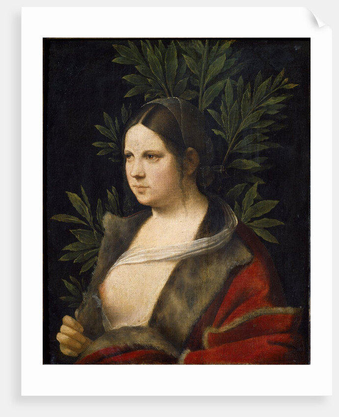 Portrait of Laura de Noves by Giorgione