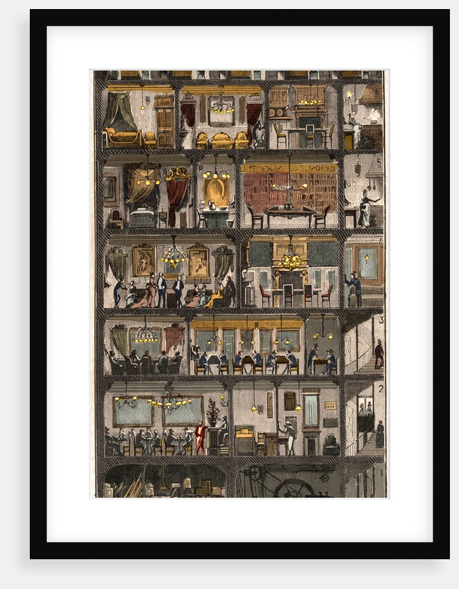 Cross-section of a Parisian house 1885 by Anonymous