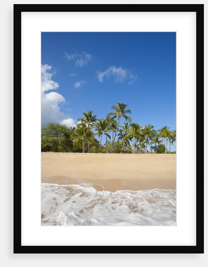 Hulopo'e Beach by Anonymous