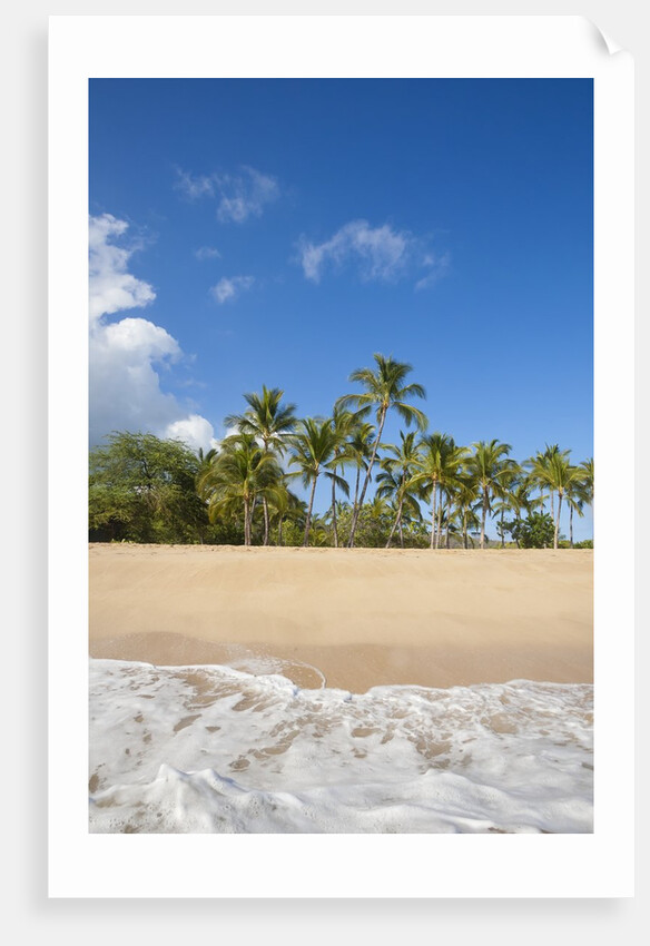 Hulopo'e Beach by Anonymous