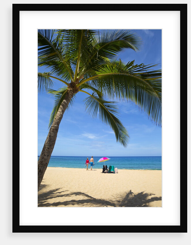 Vacationing couple snorkeling at Hulupo'e Beach; Manele Bay; Lanai; Hawaii by Anonymous