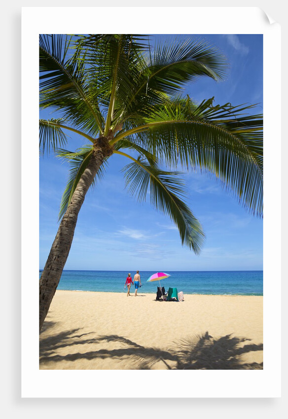 Vacationing couple snorkeling at Hulupo'e Beach; Manele Bay; Lanai; Hawaii by Anonymous