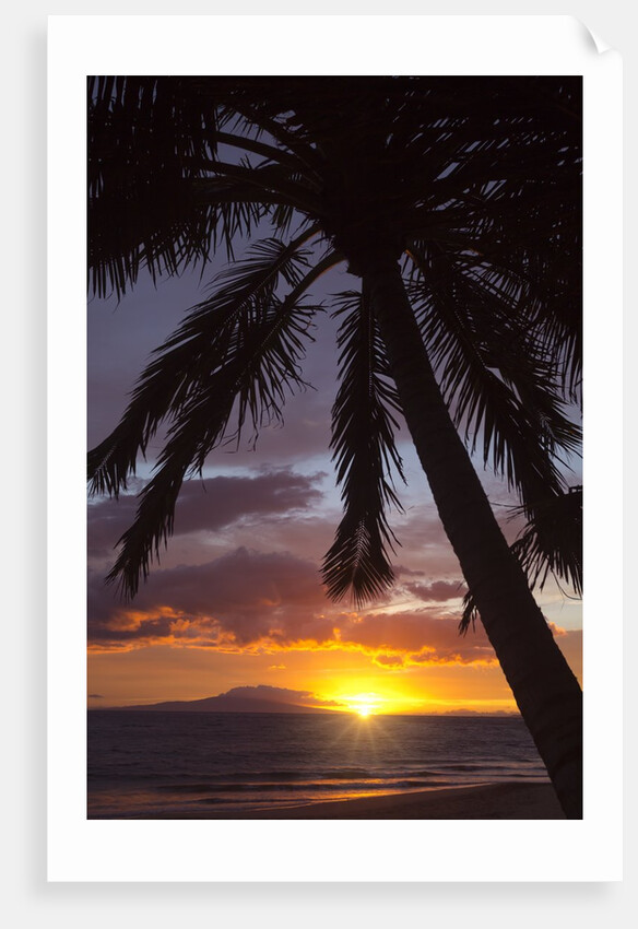 Sunset at Keawekapu Beach, Wailea, Maui, Hawaii by Anonymous