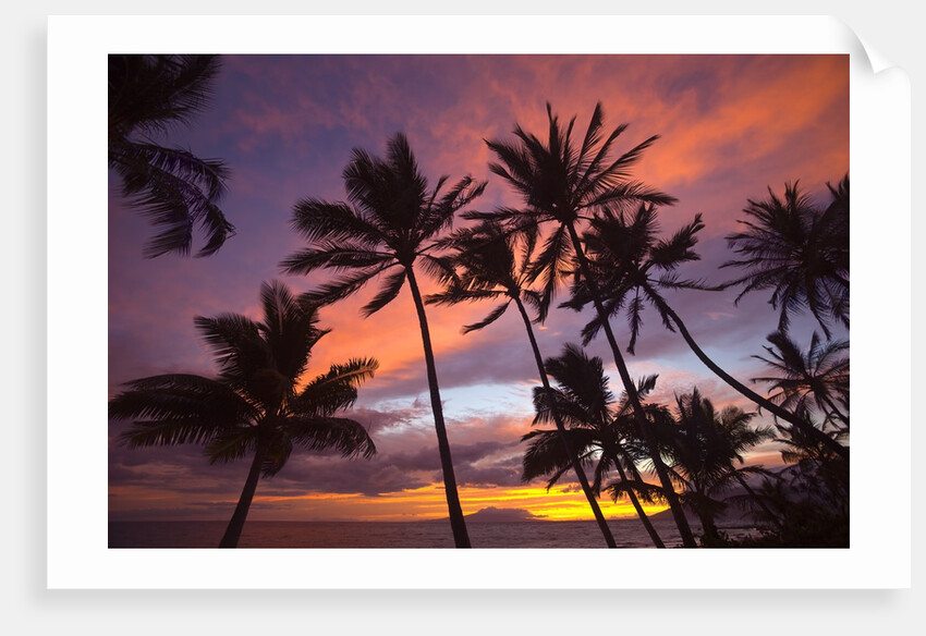 Sunset at Keawekapu Beach, Wailea, Maui, Hawaii by Anonymous