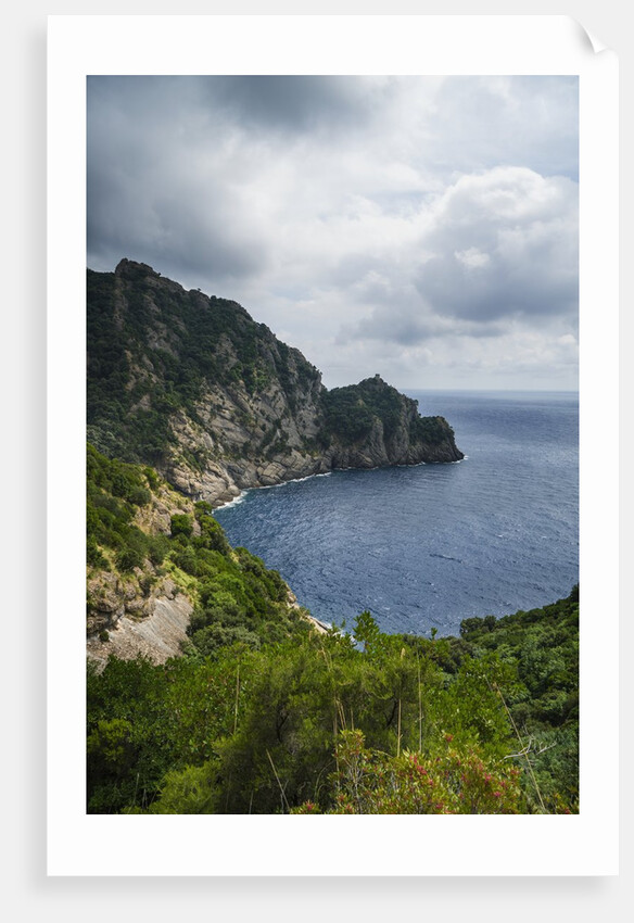 The trail from San Rocco to San Fruttuoso by Anonymous