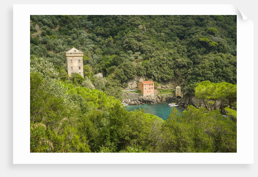 View of San Fruttuoso by Anonymous