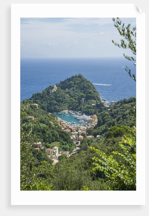 View of Portofino by Anonymous