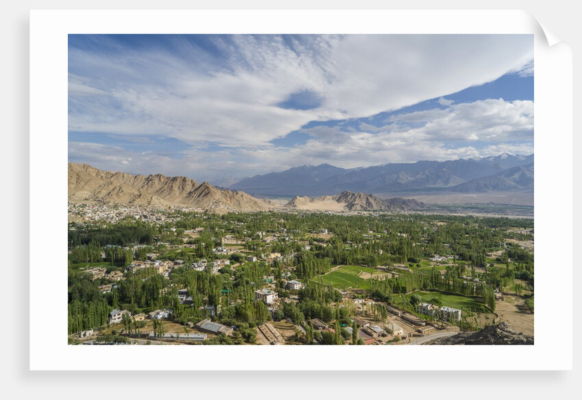 Panoramic view of the town from Shanti Stupa by Anonymous