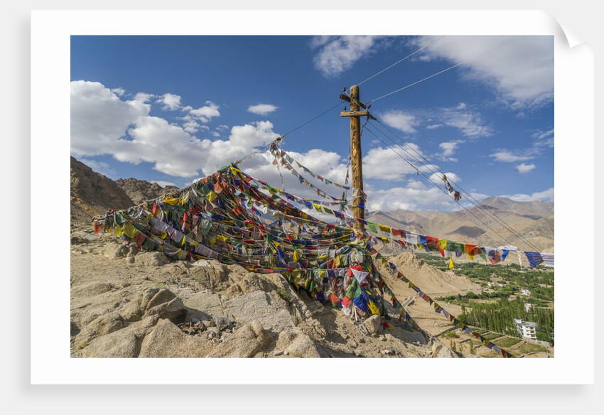 Shanti Stupa by Anonymous