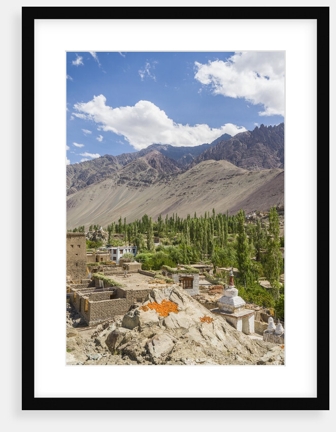 Drying apricots at Alchi village by Anonymous