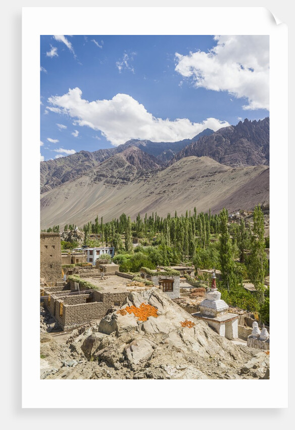 Drying apricots at Alchi village by Anonymous