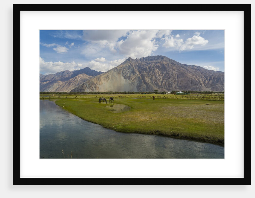 Sand dunes along Shyok Valley by Anonymous