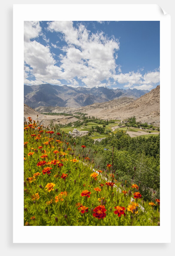 View from Likir Monastery by Anonymous