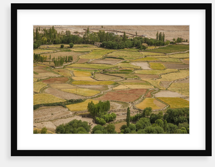Chemde Monastery, near Karu, corn field around monastery by Anonymous