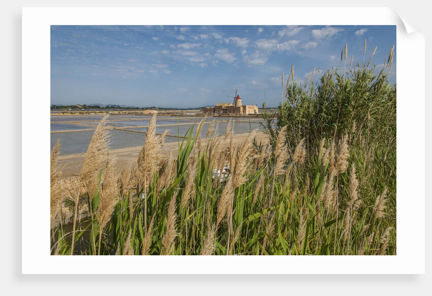 Ettore e Infersa Salt works area by Anonymous