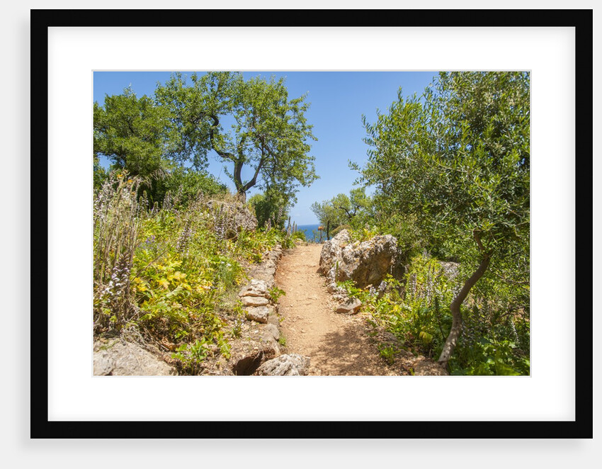 Lo Zingaro Natural Reserve by Anonymous