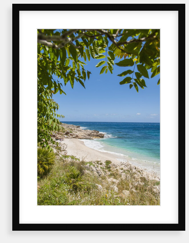 Lo Zingaro Natural Reserve, Cala dell'Uzzo by Anonymous