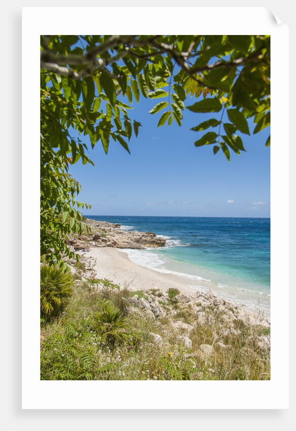 Lo Zingaro Natural Reserve, Cala dell'Uzzo by Anonymous