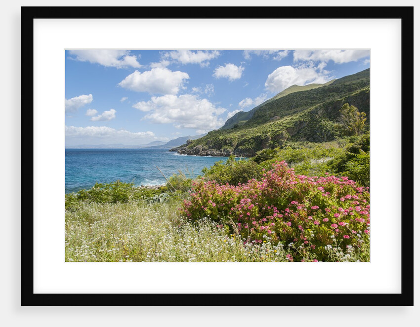 Lo Zingaro Natural Reserve by Anonymous