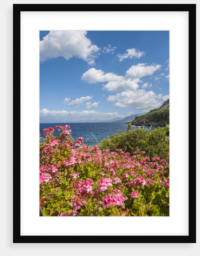 Lo Zingaro Natural Reserve by Anonymous