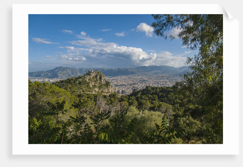View of the town from Monte Pellegrino by Anonymous