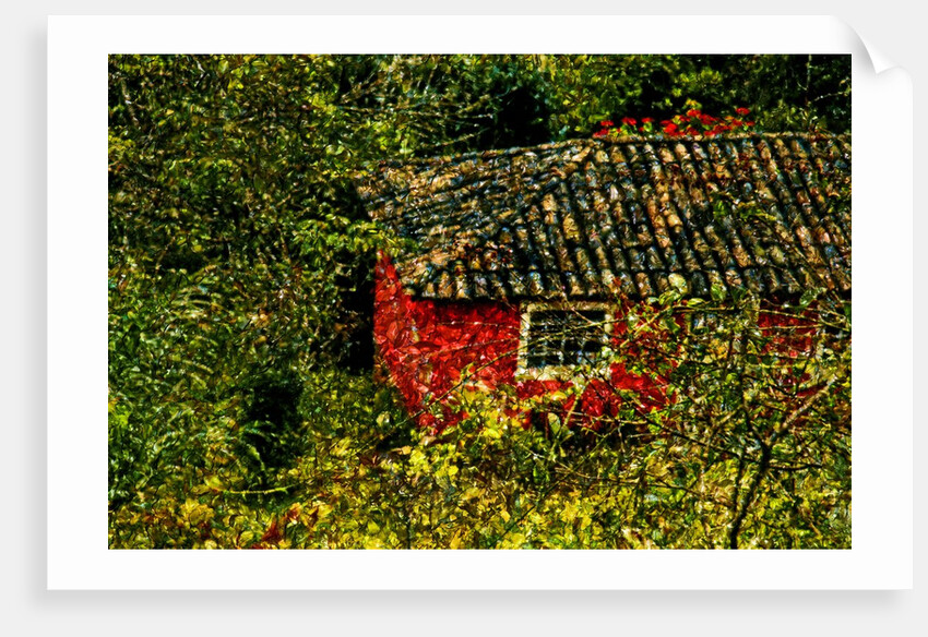 Red House by Anonymous