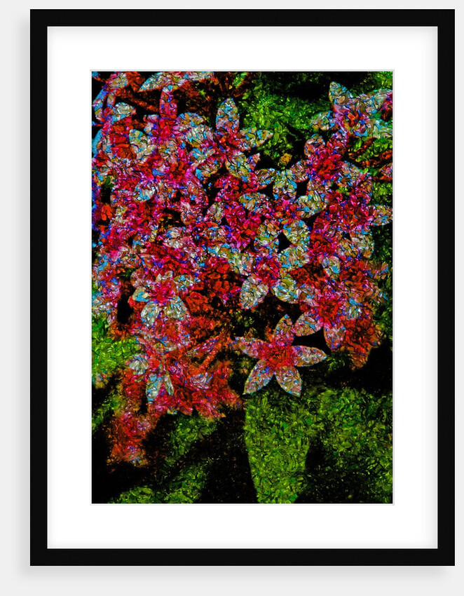 Flowers by Anonymous