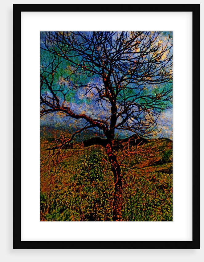 Tree by Anonymous