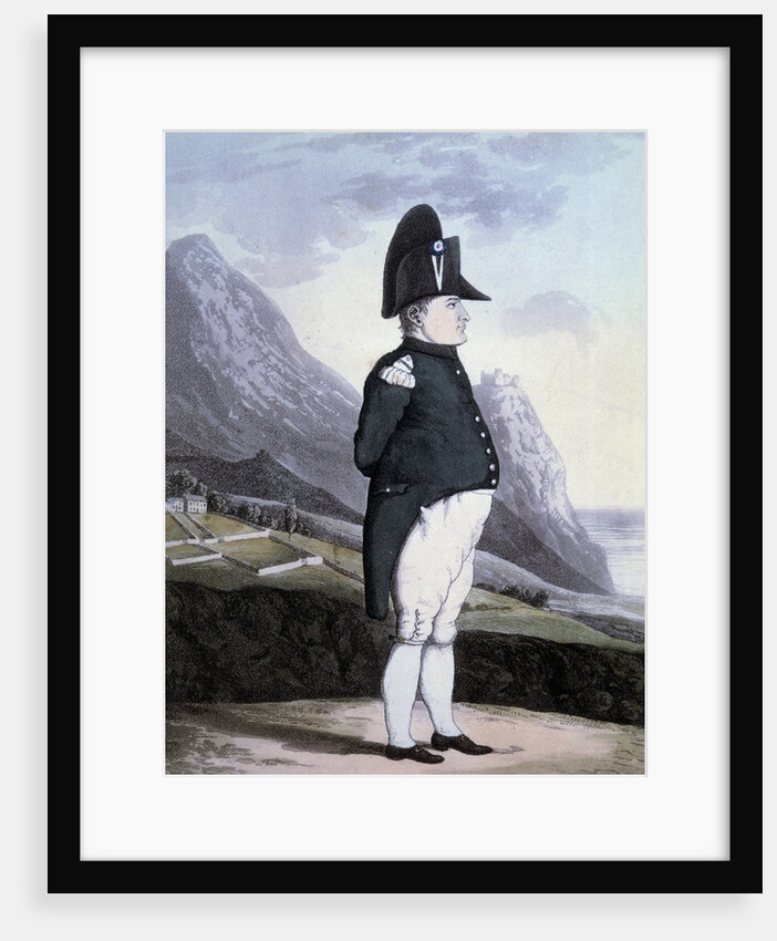 Portrait of Napoleon I on the island of St Helena, 1815 by Anonymous