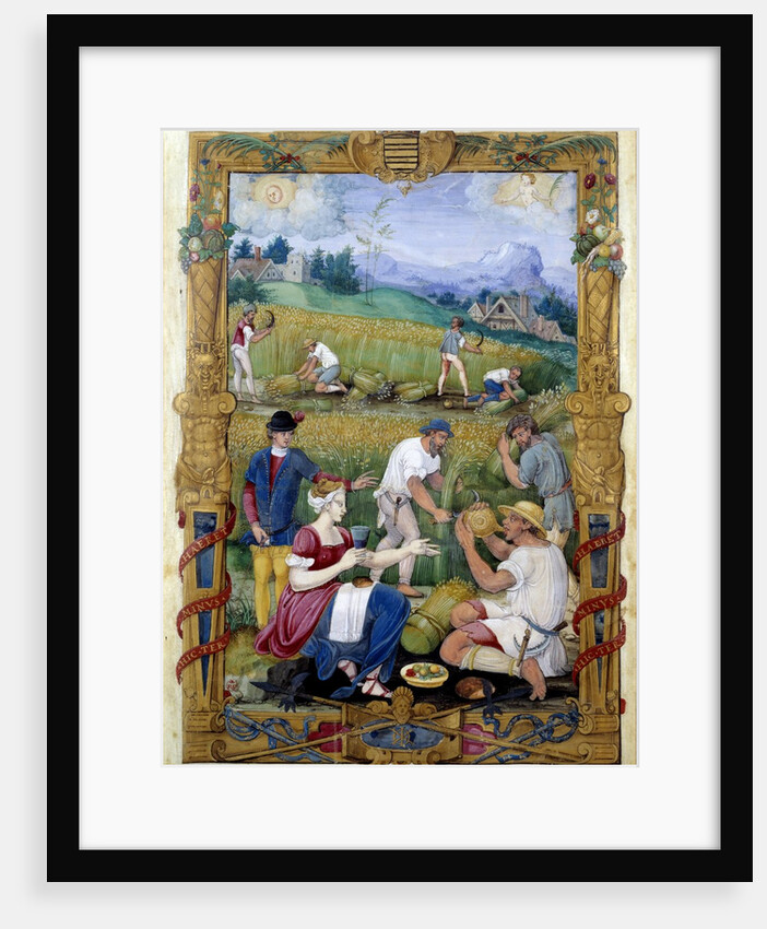 Open-air meal and harvest - 16th century illumination by Anonymous
