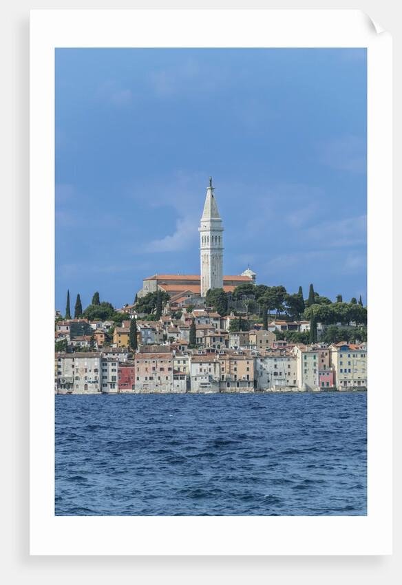 Rovinj by Anonymous