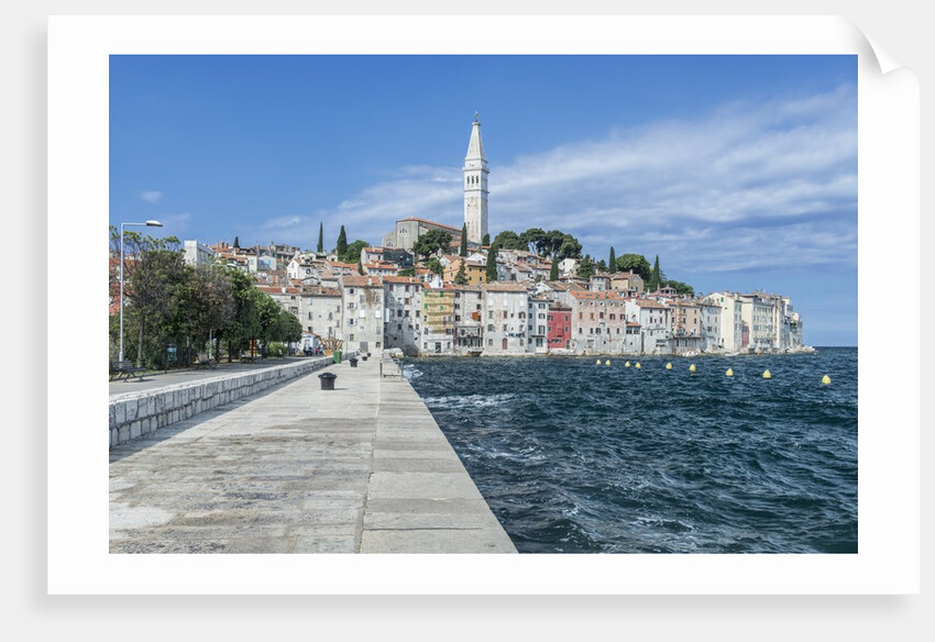 Rovinj by Anonymous
