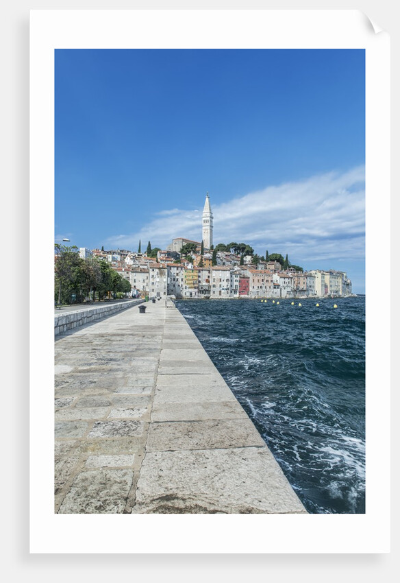 Rovinj by Anonymous