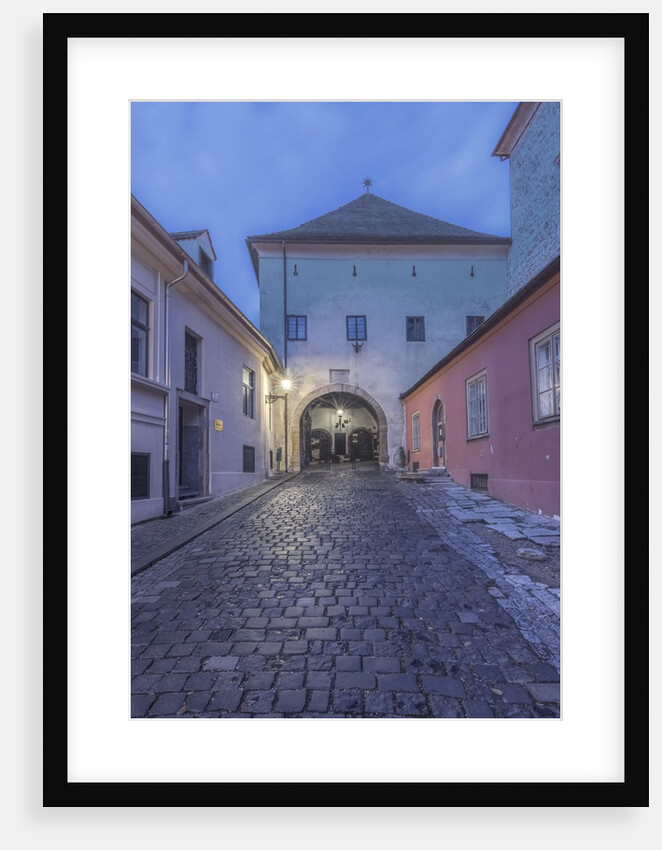 Stone Gate at Dawn by Anonymous