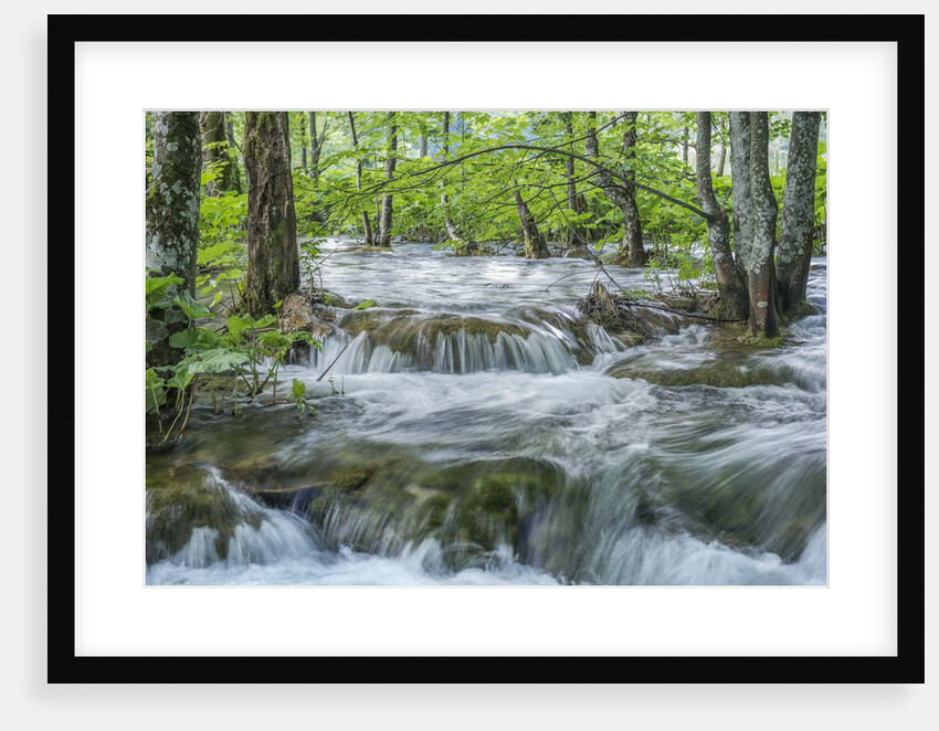 Mountain Stream by Anonymous