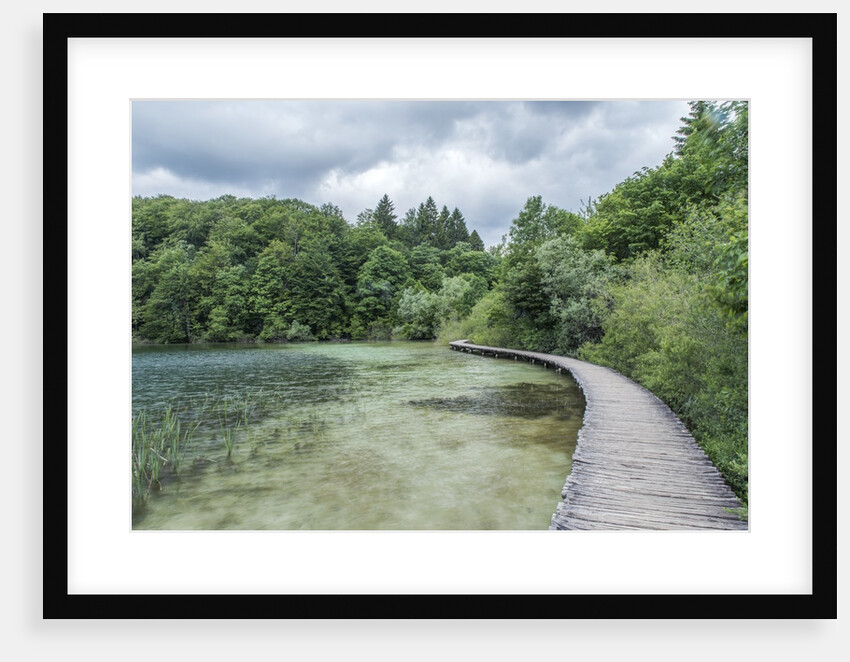 Boardwalk by Anonymous