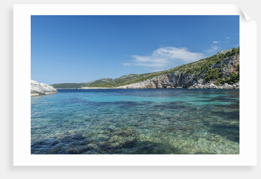Secluded Cove by Anonymous