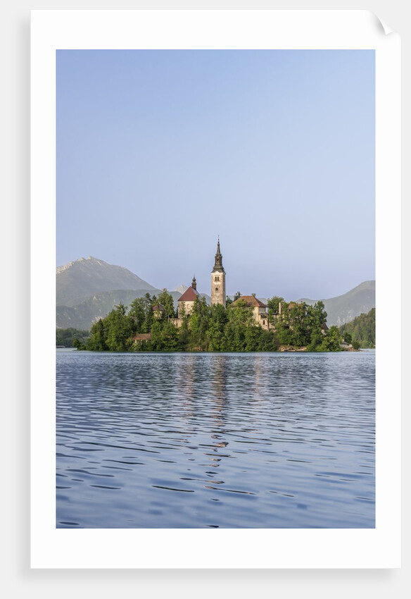 Bled Island by Anonymous