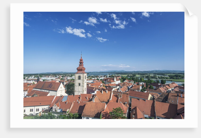 Ptuj Old Town by Anonymous