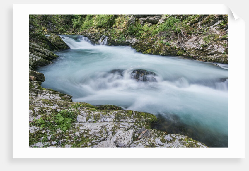 Vintgar Gorge by Anonymous