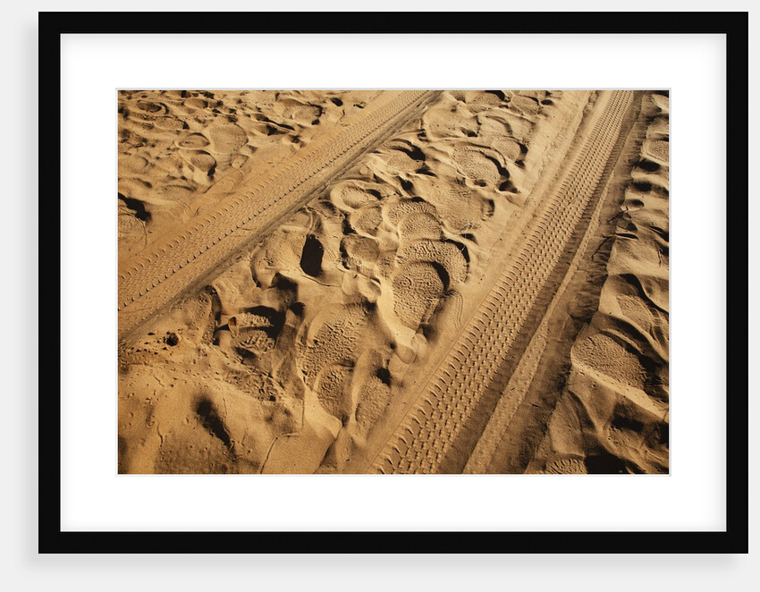 Elephant and vehicle tracks on sand road by Anonymous