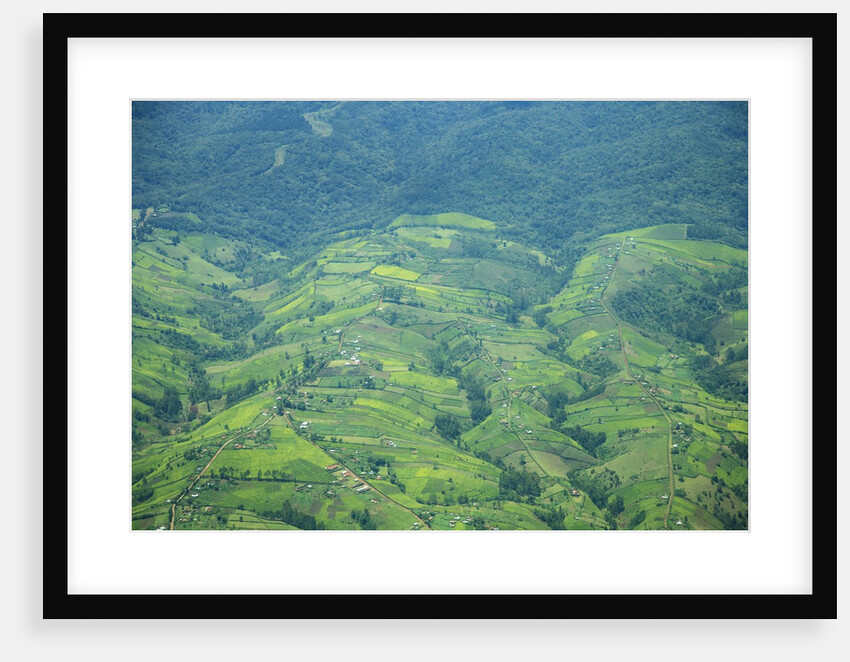 Aerial view of tea plantations, Kenya by Anonymous